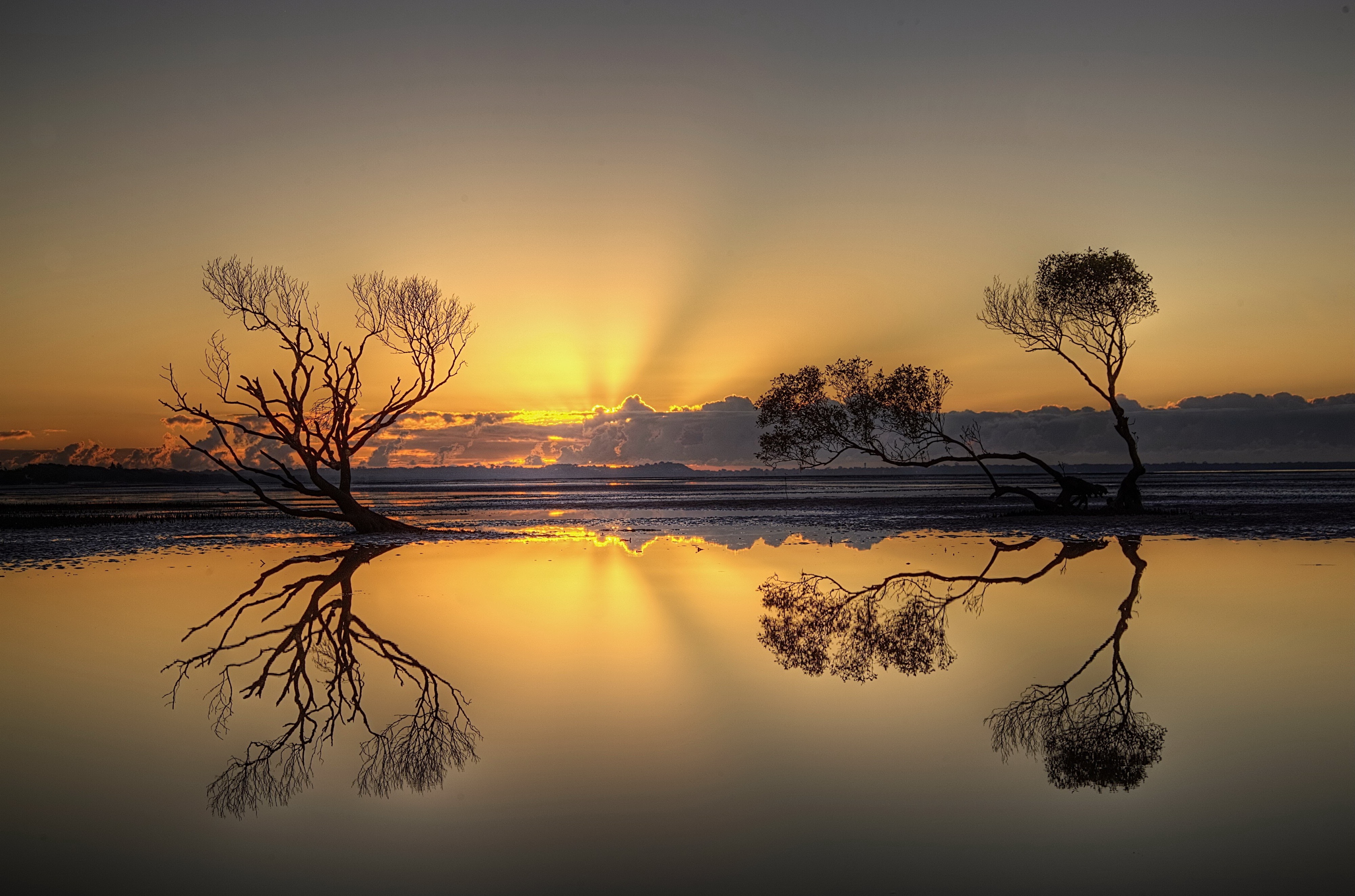 世界田径赛事青少年观赛教育活动收获好评，田径比赛教学观摩观后感